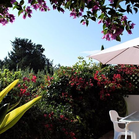 Townhouse In Paradise Gardens بافوس المظهر الخارجي الصورة