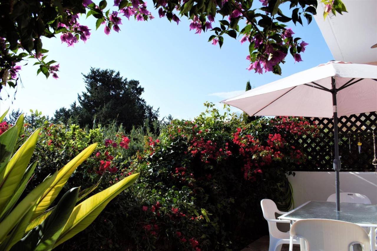 Townhouse In Paradise Gardens بافوس المظهر الخارجي الصورة